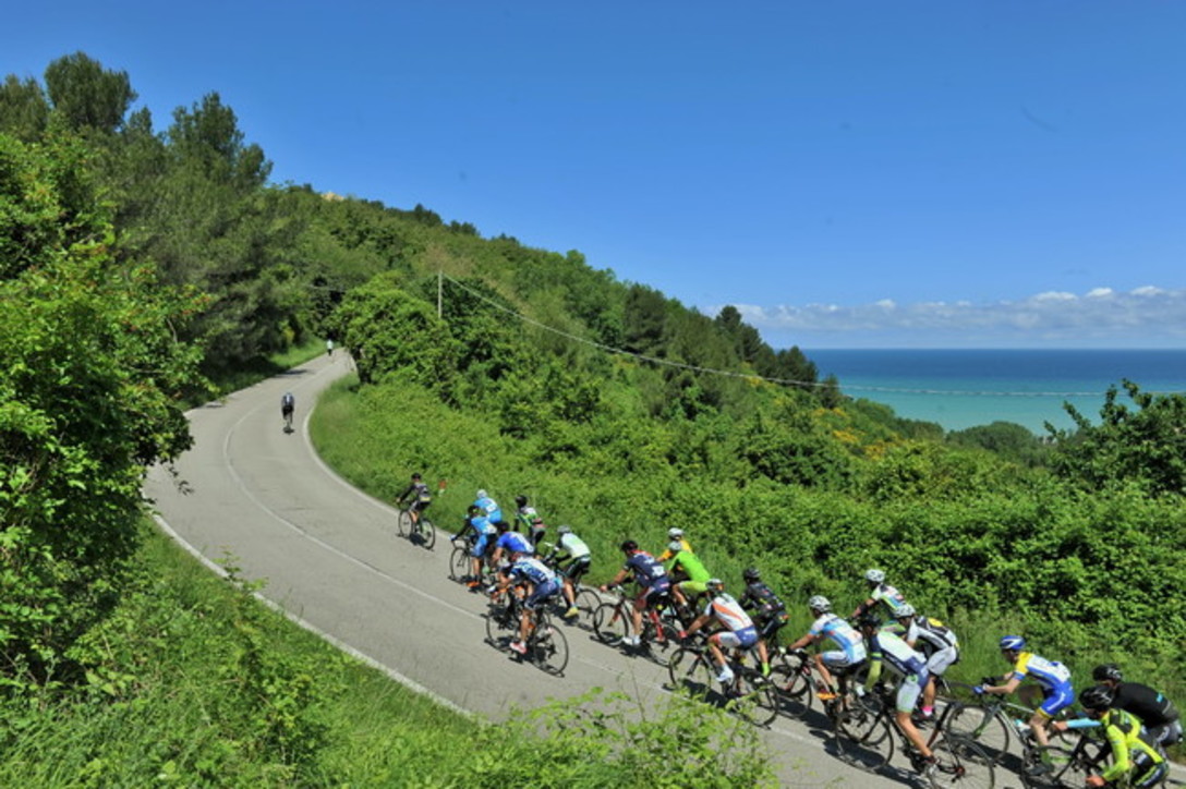 Vacanze riccione bike