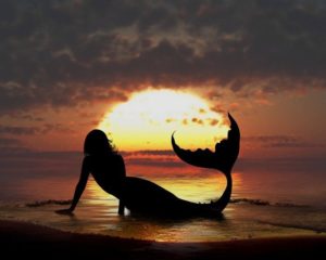 Beach & Love Riccione, sabato aperitivo al portocanale con le creature del mare