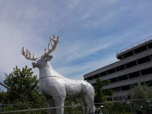 Rimini, alla Novarese spunta una renna ma è il party Jägermeister Nightcall