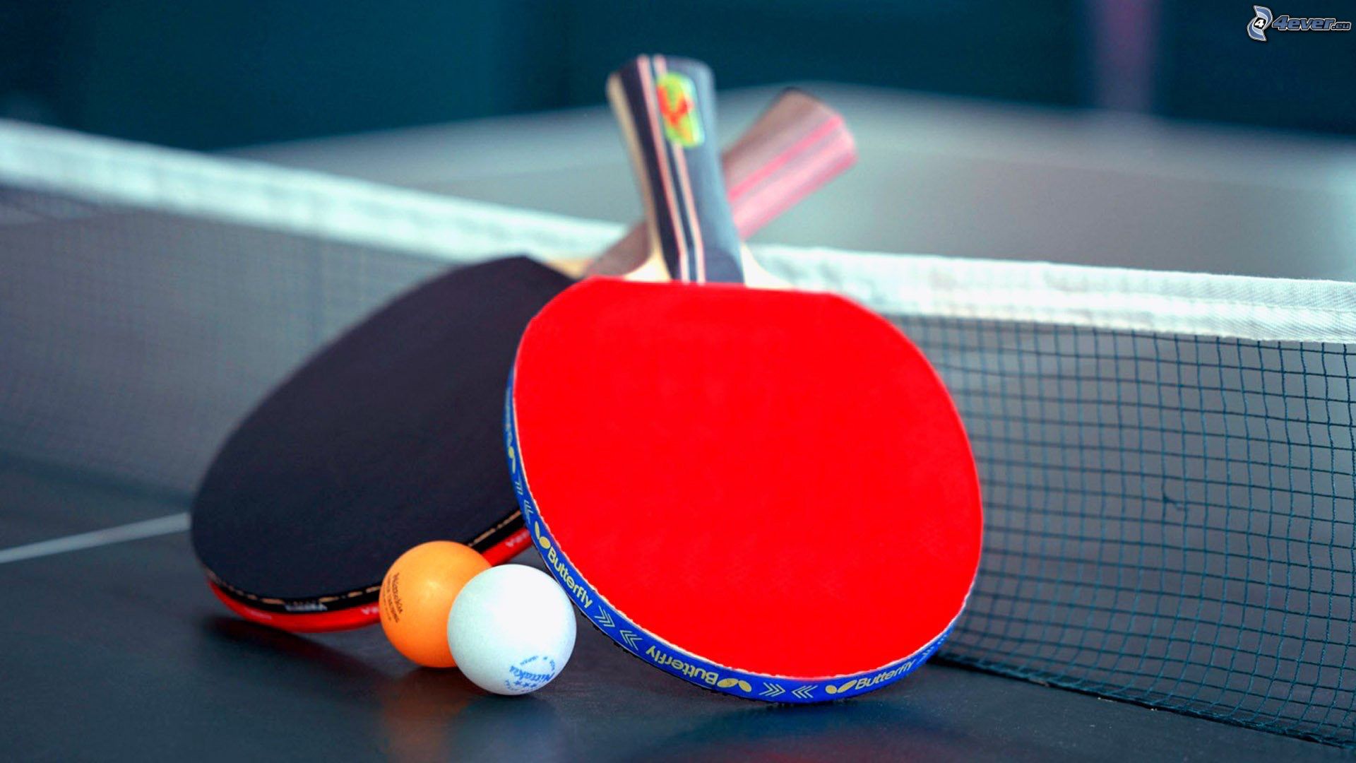 Riccione: Campionati italiani Tennistavolo e Ping Pong Tour 2021