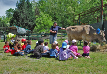 Fattorie Didattiche in Emilia Romagna, il gusto della scoperta — Informa Famiglie e Bambini